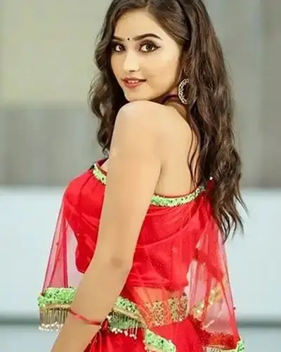 Call Girls Service Akkarampalle